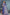 Royal Blue Mysore Brocket Soft Silk Drape Saree