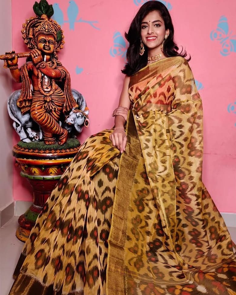 ikkat Printed Handloom Soft Silk Saree