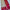 ikkat Printed Handloom Soft Silk Saree
