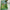 Green Digital Print With Weaving Work Crepe Georgette Fabric Saree