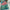 Teal Blue Crepe Georgette Saree With Digital Printed