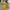 Turmeric Yellow Digital Print With Weaving Work Crepe Georgette Fabric Saree