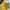 Yellow Georgette Fabric Digital Floral Saree