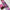 Magenta Pure Butter Silk Saree