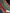 Luxurious Assam Pattu Fancy Saree Ikat Digital Print Soft Silk In Green Colour