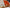 Exclusive pure crepe printed mysore silk sarees