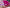 Festive Wear Pink Digital Print Mysore Silk Saree With Zari Highlights
