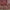 Maroon Color Semi Tussar Silk Sarees
