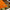 Graceful Orange Traditional Mysore Silk Saree Zari Edge Detailing