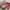 Premium Exclusive Pure zari border tusser silk