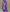 Super viscose Tarpan Silks  on Digital Prints