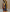Super viscose Tarpan Silks  on Digital Prints