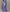 Super Viscose Tarpan Silks  On Digital Prints
