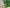 Stunning Green And White Semi Mysore Soft Silk Saree With Rich Traditional Zari Work