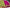Exclusive pure crepe printed mysore silk sarees