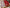 Exclusive pure crepe printed mysore silk sarees