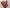 Authentic Red Pure Mysore Silk Saree With Traditional Touch And Blouse Material