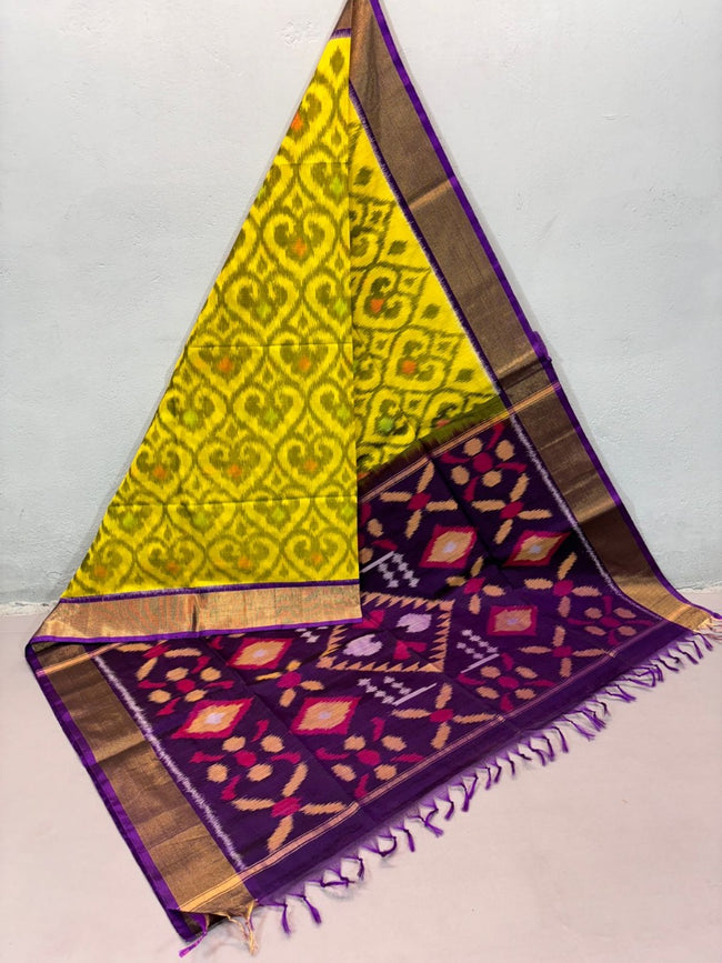 Ikkat handloom Silk Saree with Make it Art