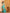 Soft Silk Digital Printed Saree
