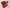 Zari Border Mysore Silk Saree In Red Plain Crepe Style For Sangeet Functions