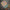 Premium Exclusive Pure zari border tusser silk