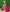 Ikkat Pochampally print Pure Silk