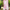 pink Color Pure Georgette Silk Handloom Saree