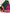 Gorgeous Pure Mysore Silk Saree Pink Plain Function Wear With Zari Work And Blouse