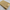 Premium Mango Yellow Plain Mysore Soft Silk Saree With Intricate Zari Weaving