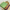 Green Party Wear Saree Mysore Crepe Plain Silk With Elegant Zari Border