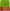 Traditional Plain Green And Pink Mysore Crepe Silk Saree Perfect Zari Border For Events