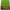 Zari Border Mysore Silk Saree Green And Black Elegant Soft Texture