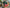 Gorgeous Green And Pink Viscose Soft Silk Saree Handcrafted Weaving Design