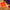 Simple Yet Stunning Orange Pure Mysore Silk Saree With Thin Zari Woven Border