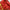 Office Wear Red Pure Crepe Silk Saree Mysore Style With Tiny Border And Blouse