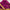 Light Purple Lightweight Plain Mysore Crepe Silk Saree With Delicate Border And Blouse Piece