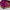 Exclusive Zari Border Purple  Plain Mysore Silk Saree.