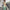 Sky Green Premium Quality Digital Print Kubera Soft Silks