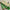 Trendy Green Soft Silk Digital Printed Saree For Daily Wear