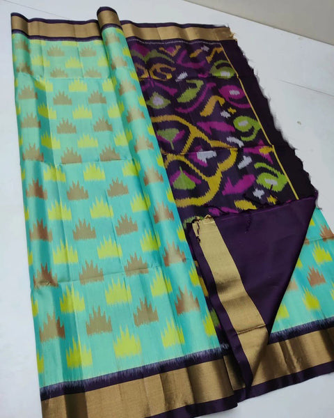 ikkat Printed Handloom Soft Silk Saree